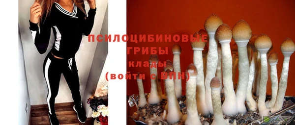 mdma Осинники