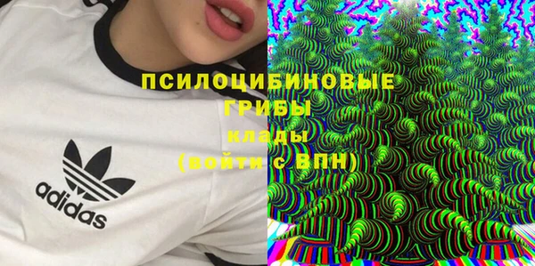 mdma Осинники
